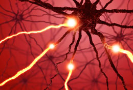 "Beyin" 10 milyard sinir hüceyrəsindən və bunlar arasında olan 100 trilyon əlaqədən ibarətdir